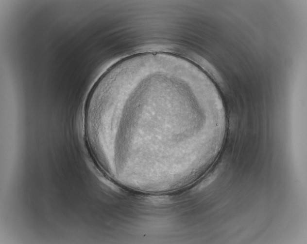 X0000111360844200907311011