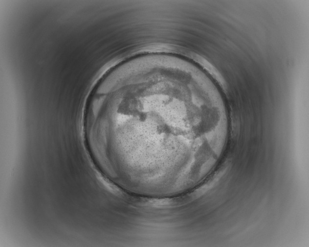 X0000111360845200907311011