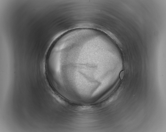 X0000111360846200907311011