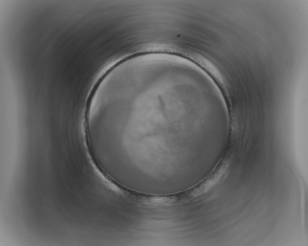 X0000111360847200907311011