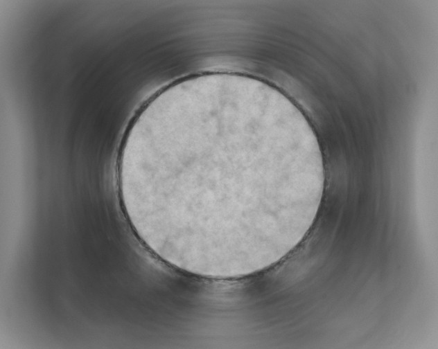 X0000111360848200907311011