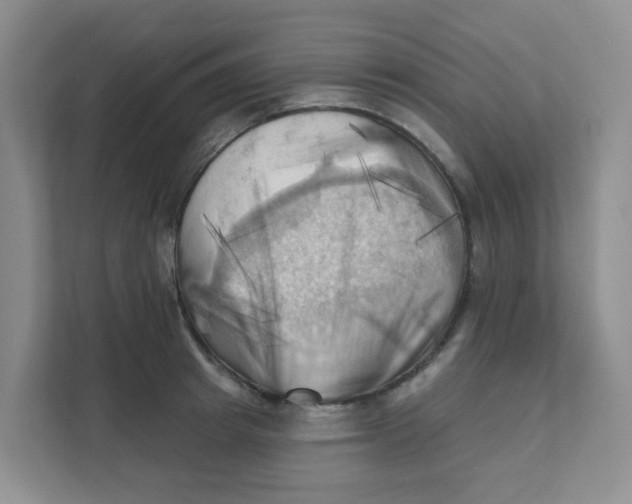 X0000111360849200907311011