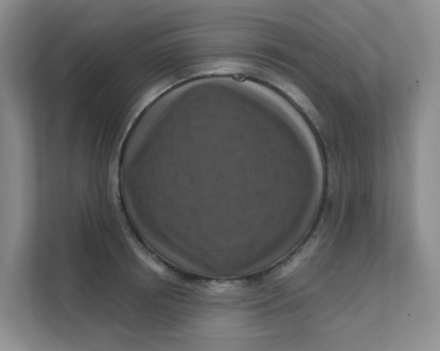 X0000111360850200907311011