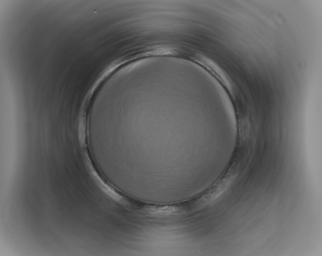 X0000111360851200907311011