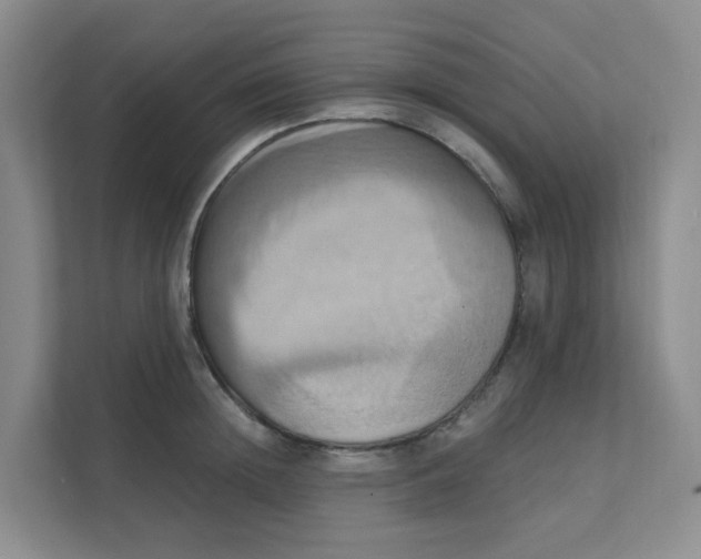 X0000111360852200907311011