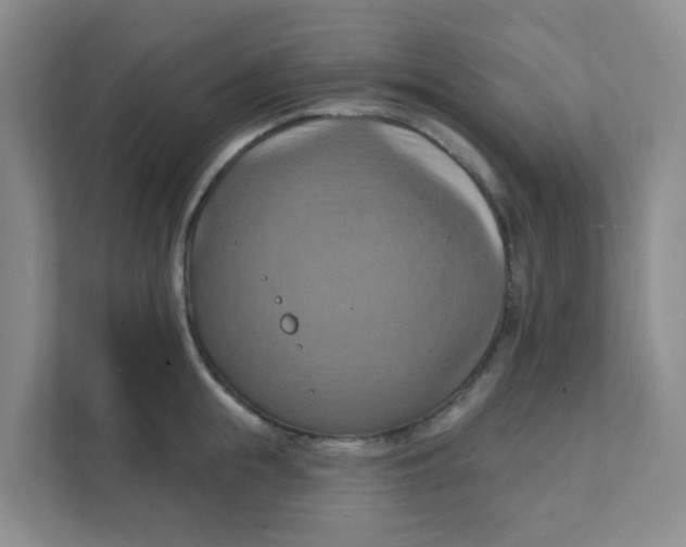 X0000111360855200907311011