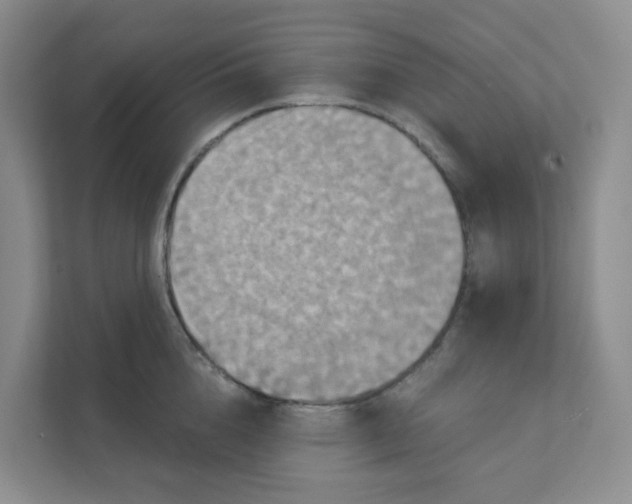 X0000111360856200907311011