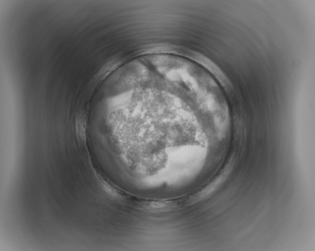 X0000111360857200907311011