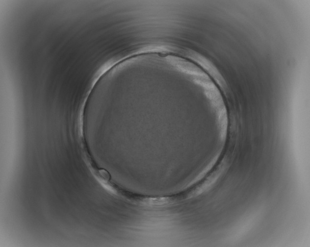 X0000111360858200907311011