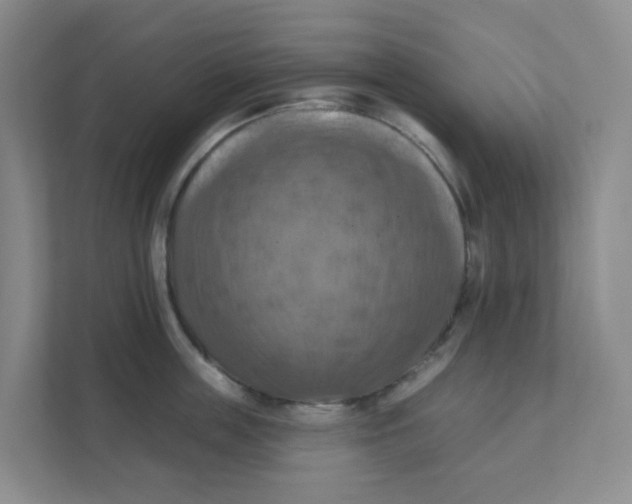 X0000111360859200907311011