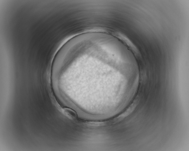 X0000111360860200907311011