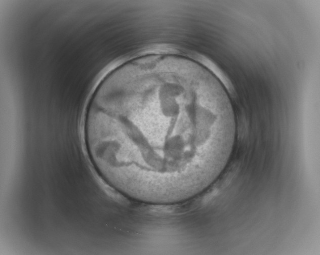 X0000111360861200907311011