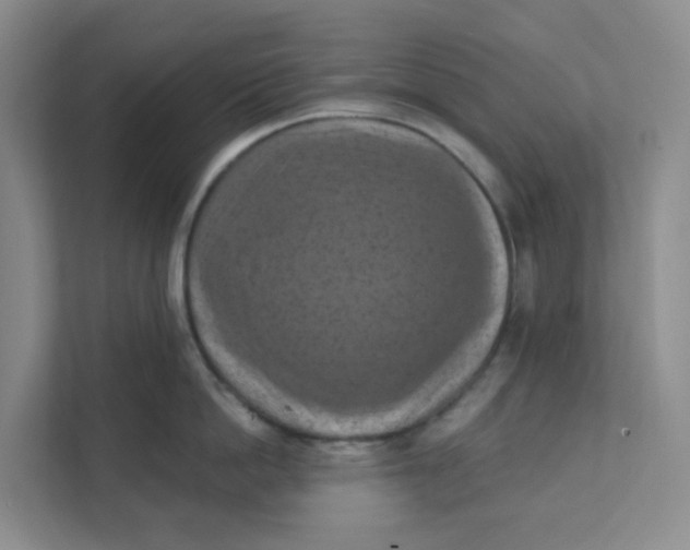 X0000111360862200907311011