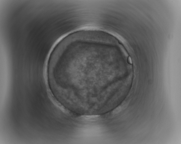 X0000111360864200907311011