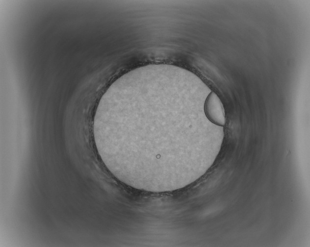 X0000111360865200907311011