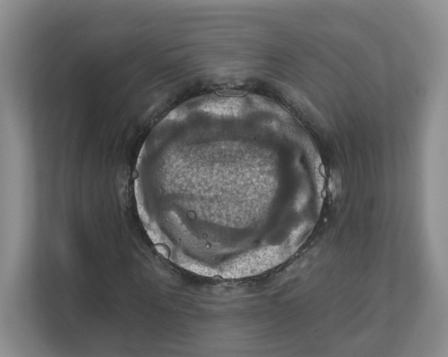 X0000111360867200907311011