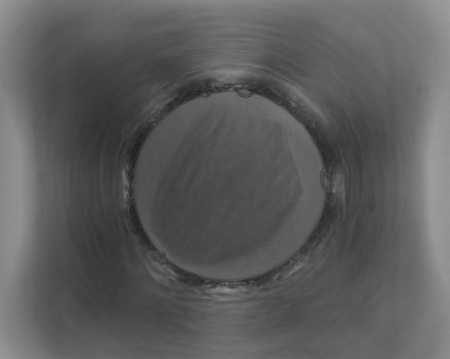 X0000111360868200907311011