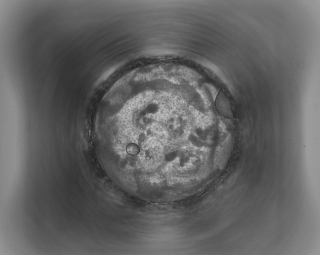 X0000111360871200907311011