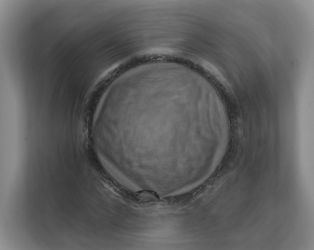 X0000111360872200907311011