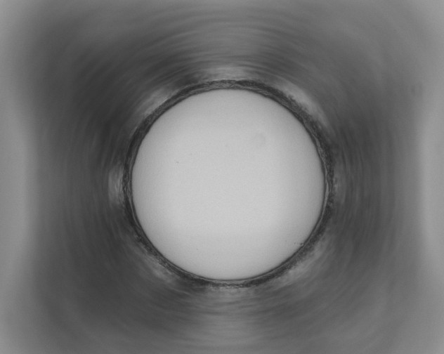 X0000111360873200907311011