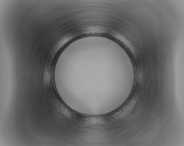 X0000111360874200907311011