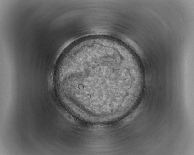 X0000111360875200907311011