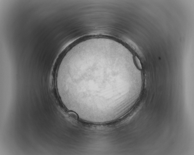 X0000111360876200907311011