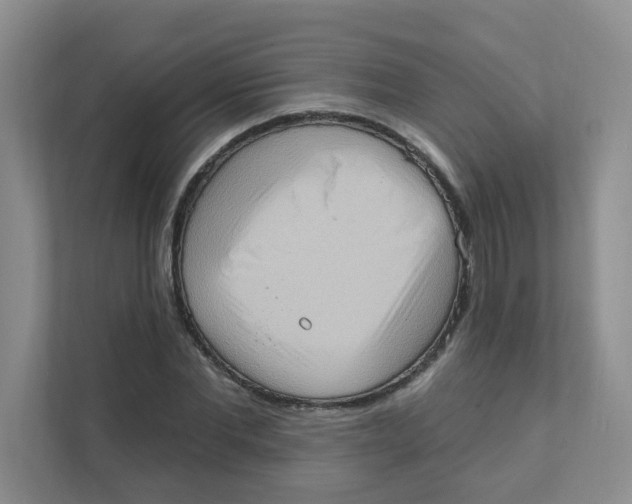 X0000111360877200907311011