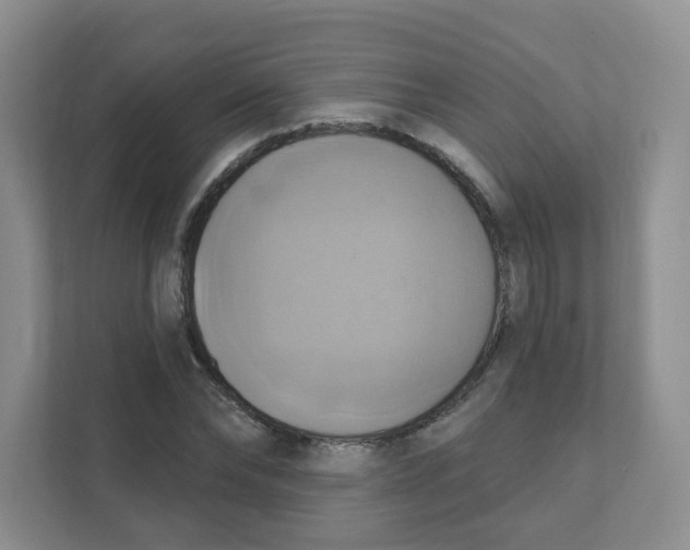 X0000111360878200907311011