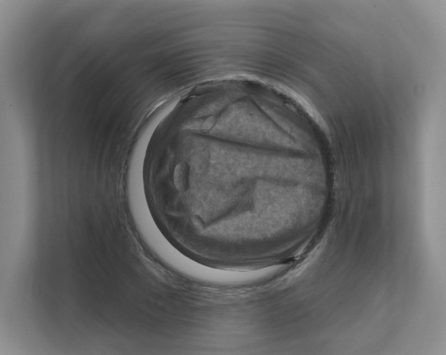 X0000111360881200907311010