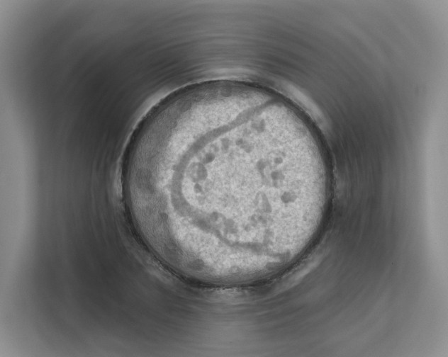 X0000111360883200907311010