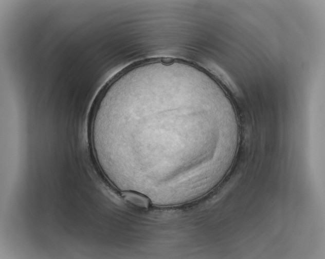 X0000111360884200907311010