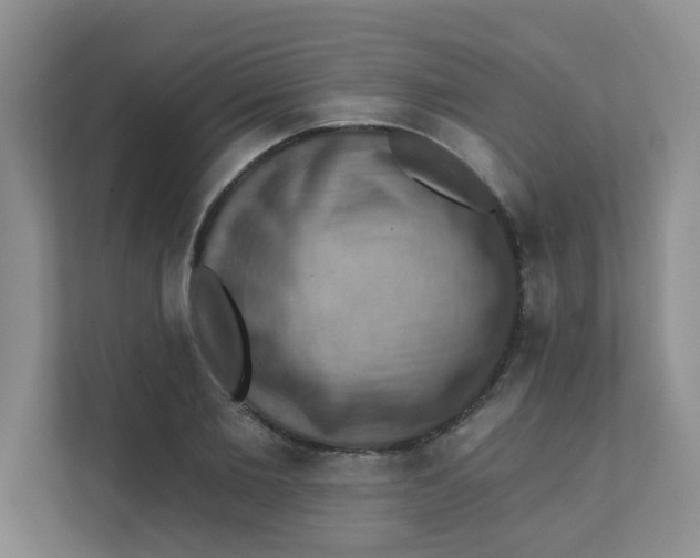 X0000111360885200907311010