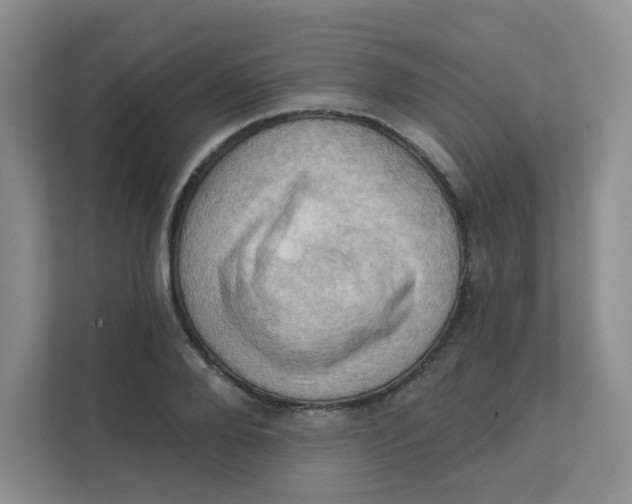 X0000111360888200907311010