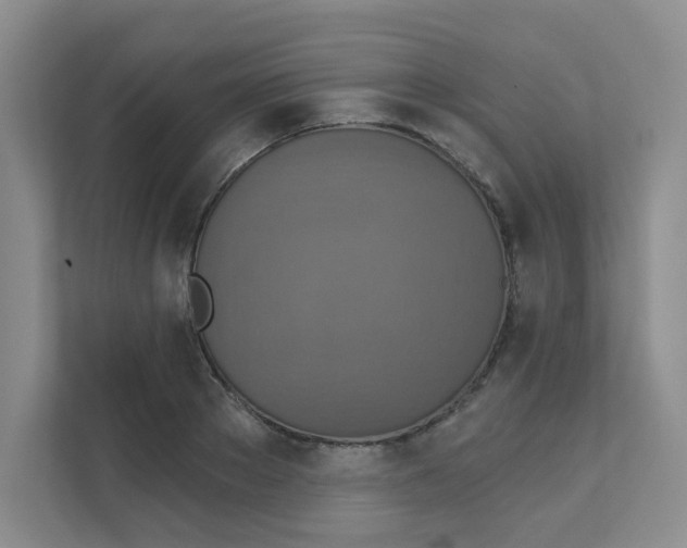 X0000111360889200907311010