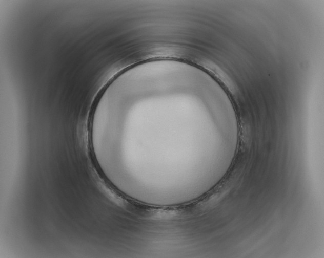 X0000111360890200907311010