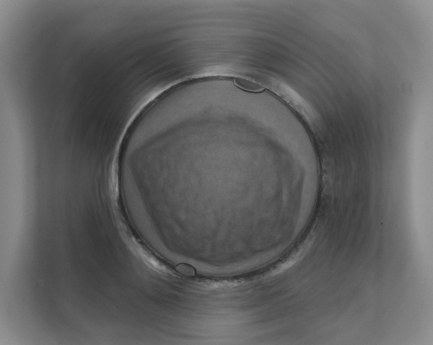 X0000111360892200907311010