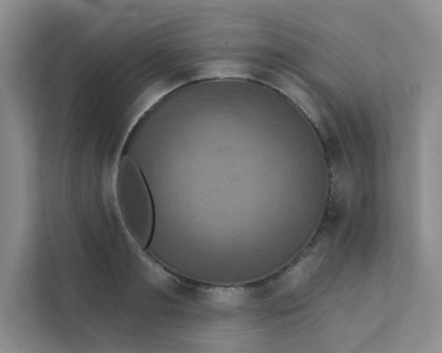 X0000111360893200907311010