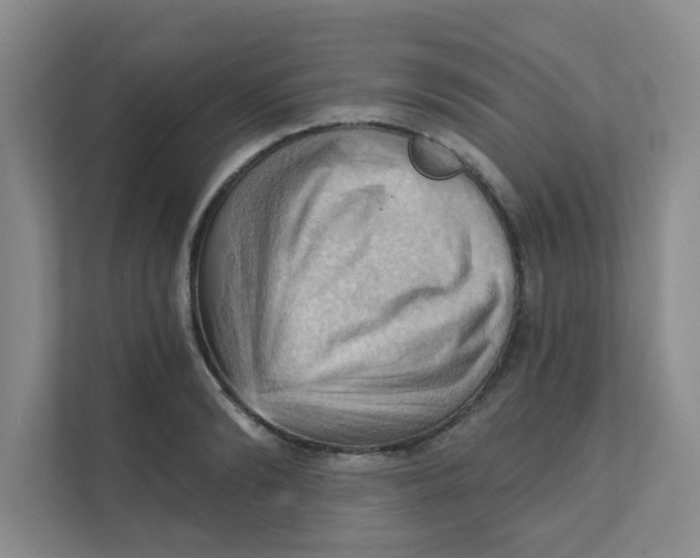 X0000111360894200907311010