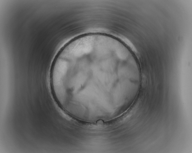 X0000111360895200907311010