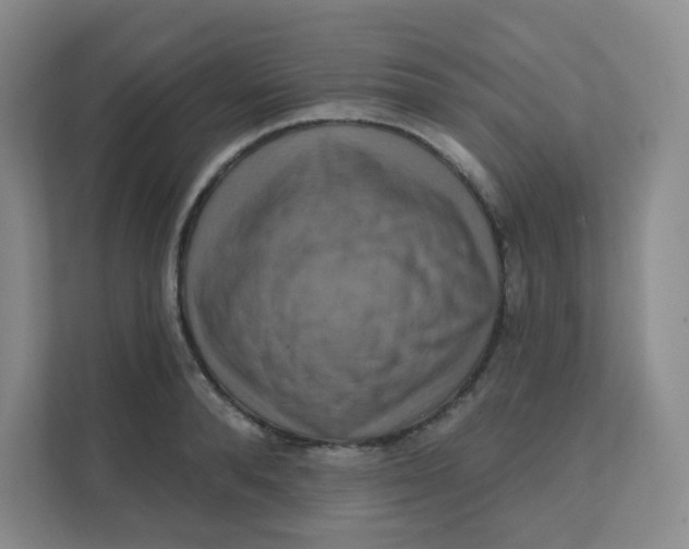 X0000111360896200907311010