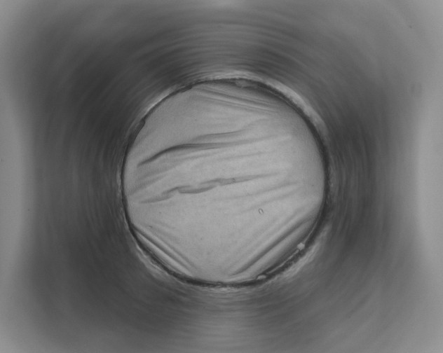 X0000111360897200907311010