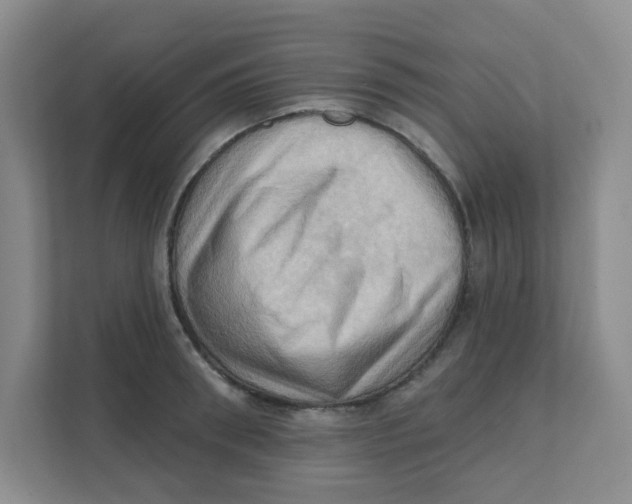 X0000111360898200907311010