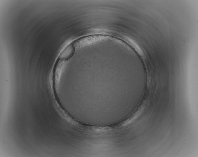 X0000111360899200907311010