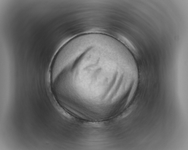 X0000111360900200907311010