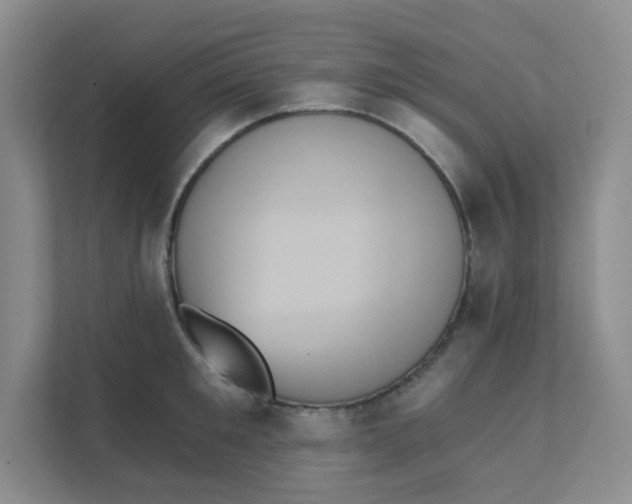 X0000111360901200907311010