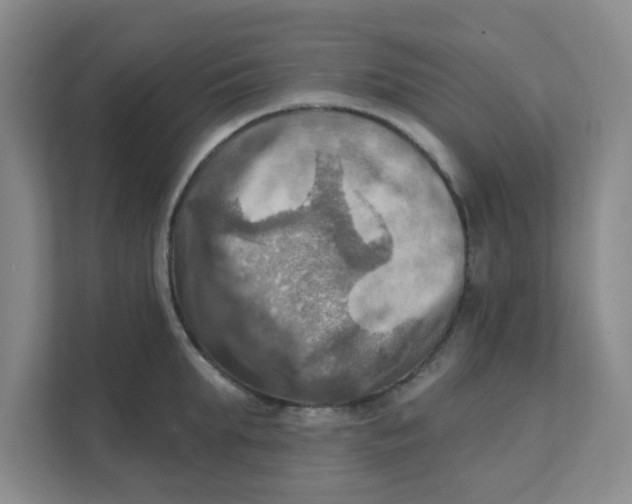 X0000111360903200907311010