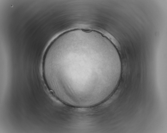 X0000111360904200907311010