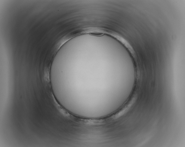 X0000111360905200907311010