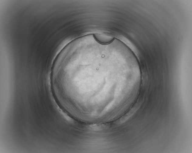 X0000111360906200907311010